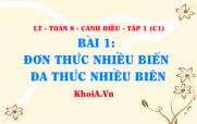 Đơn thức, đa thúc nhiều biến, thu gọn là gì, cách tính giá trị của đa thức? Toán 8 bài 1 c1cd1